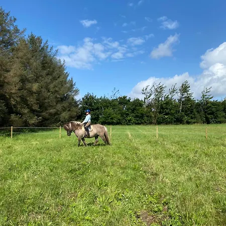 Bondegardsferie Med Fiskemuligheder Bredebro