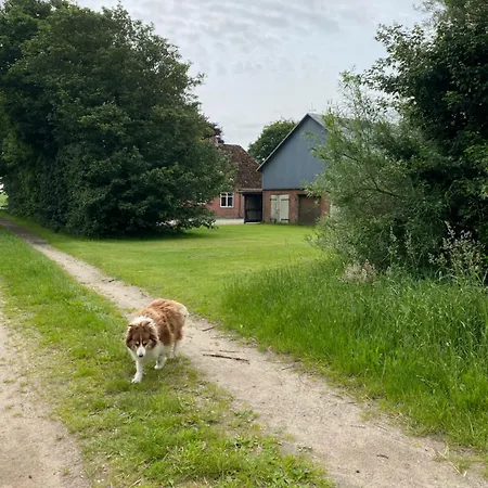 Bondegardsferie Med Fiskemuligheder Semesterbostad Bredebro