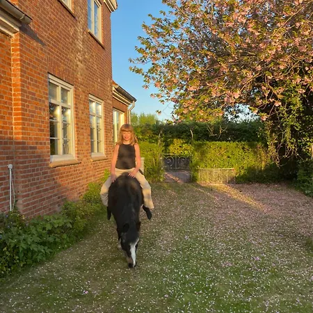 Bondegardsferie Med Fiskemuligheder Semesterbostad