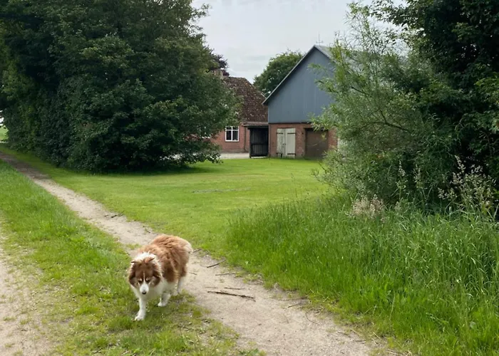 Bondegardsferie Med Fiskemuligheder Vakantiehuis Bredebro