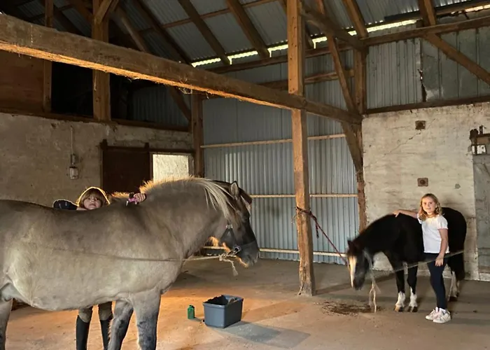 Vakantiehuis Bondegardsferie Med Fiskemuligheder