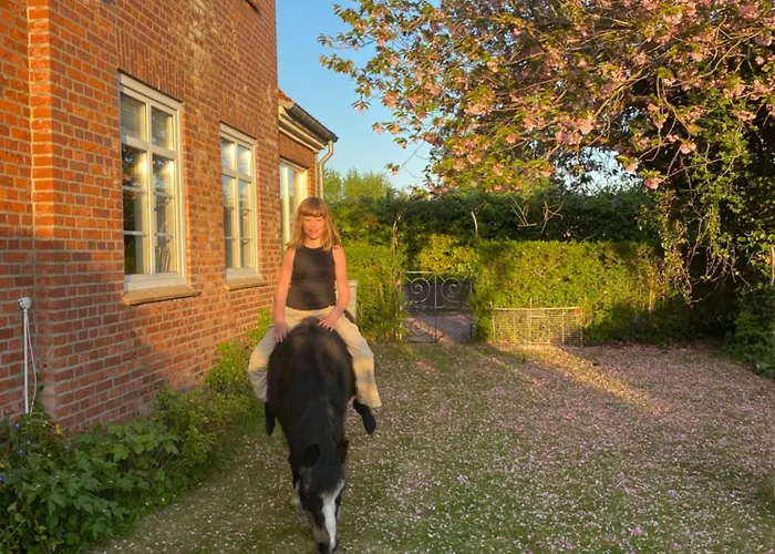 Bondegardsferie Med Fiskemuligheder Vakantiehuis